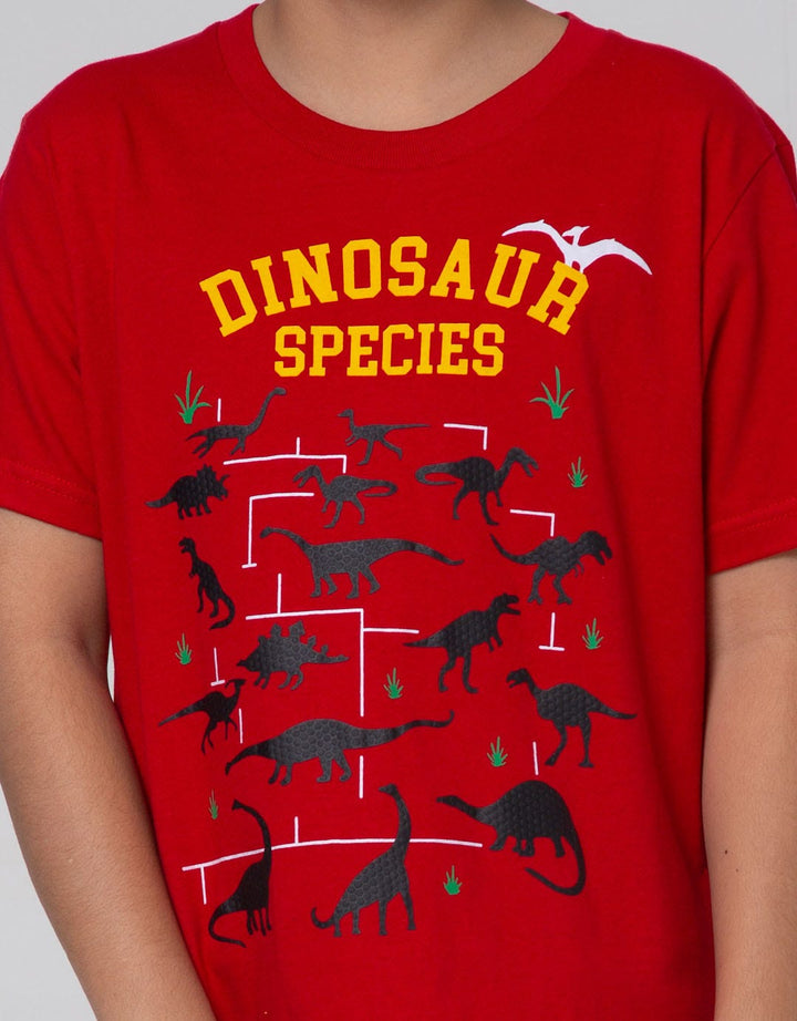Little M Short Sleeve T-Shirt Dinosaur Species