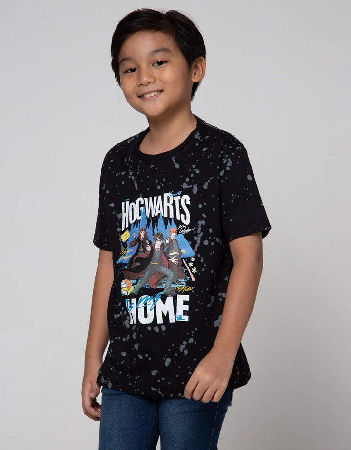 Character T-Shirt Character Harry Potter Print Marble