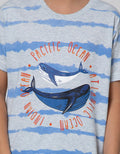 Little M Short Sleeve T-Shirt Print Tie Dyed Stripe Shark