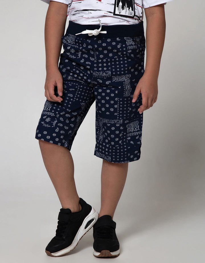 Nevada Shorts Pants Woven Print Paisley