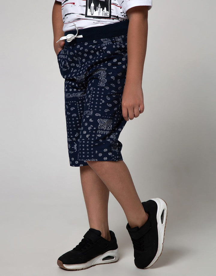 Nevada Shorts Pants Woven Print Paisley