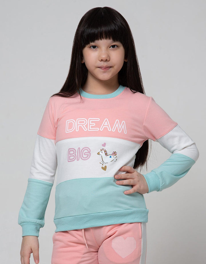 Aero Sweatshirt Dream Big