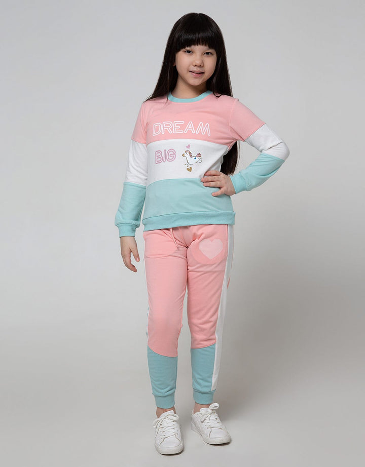 Aero Sweatshirt Dream Big