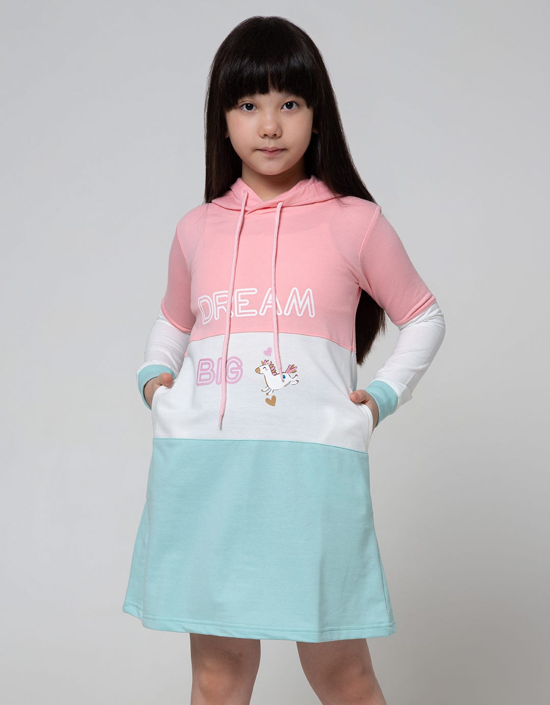Aero Long Sleeve Dress Hoodie Dream Big