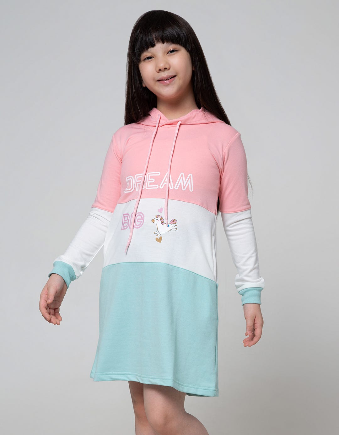 Aero Long Sleeve Dress Hoodie Dream Big