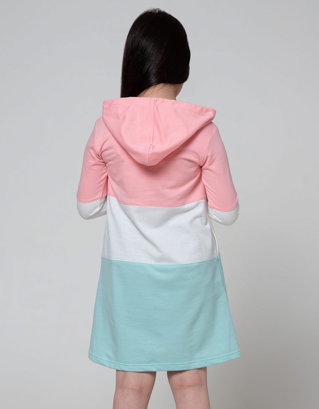 Aero Long Sleeve Dress Hoodie Dream Big