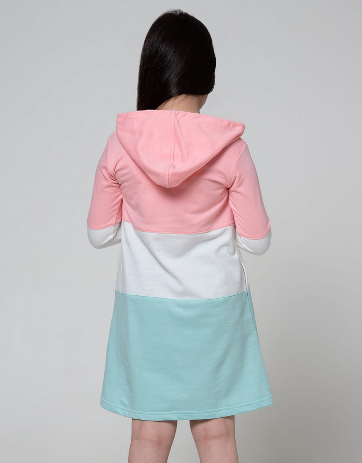 Aero Long Sleeve Dress Hoodie Dream Big