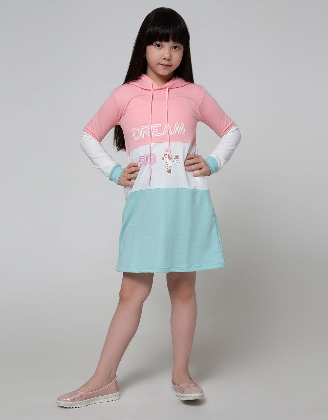 Aero Long Sleeve Dress Hoodie Dream Big