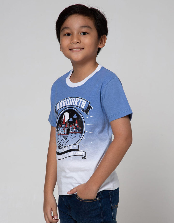 Character Harry Potter Kaos Fullprint Kontras