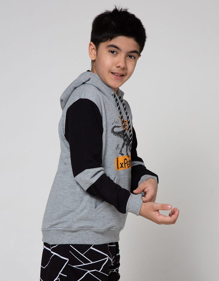 Aero Sweatshirt Hoody Knitting T-Rex Expert