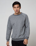 Cole Sweatshirt Raglan Siro Swsiron
