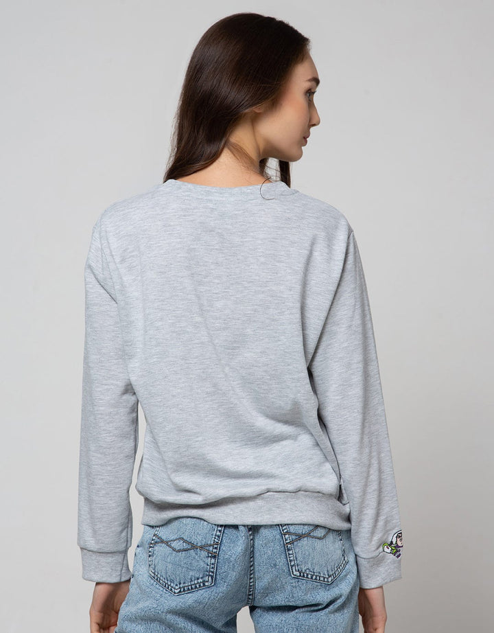 Disney Sweatshirt Toys Story