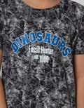 Little M Short Sleeve T-Shirt Tie Dyed Dinosaur