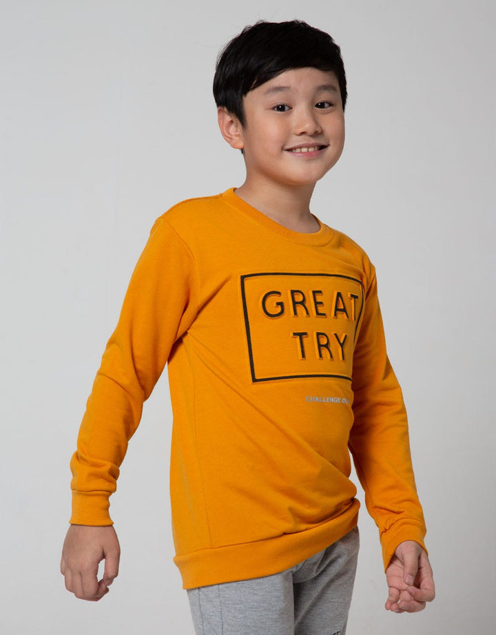 Nevada Sweater Great Try