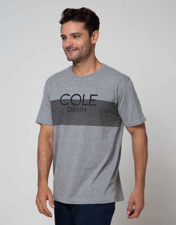 Cole Short Sleeve T-Shirt Print Stripe Dada