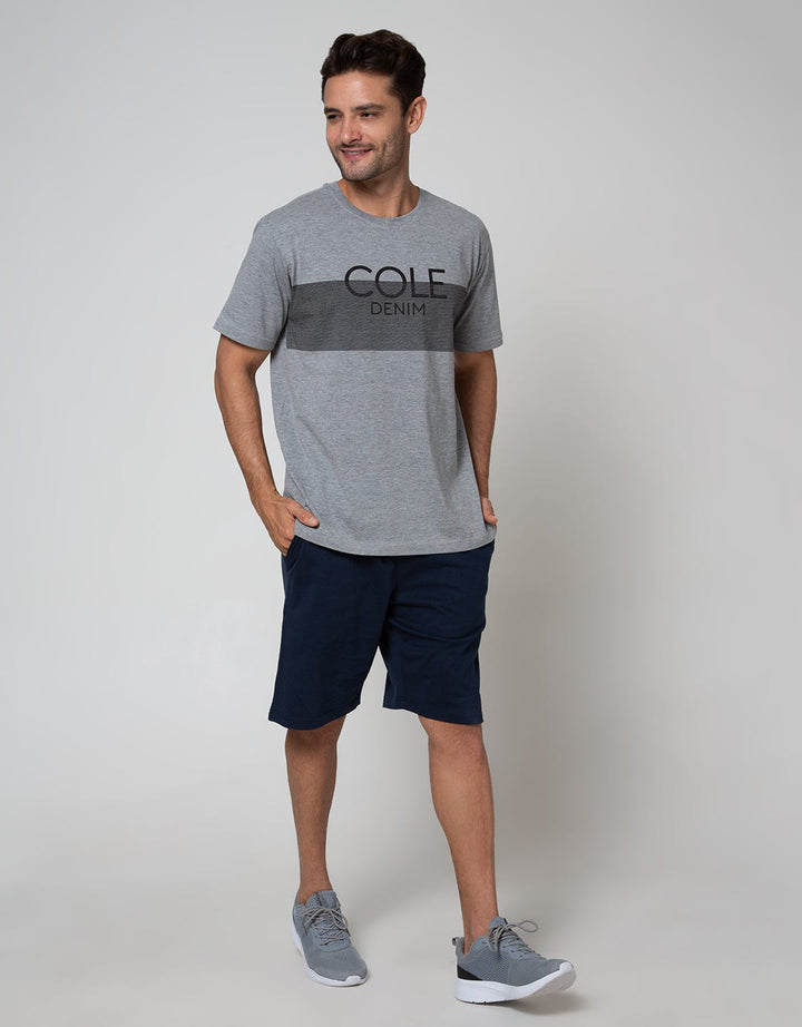 Cole Short Sleeve T-Shirt Print Stripe Dada