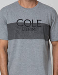 Cole Short Sleeve T-Shirt Print Stripe Dada