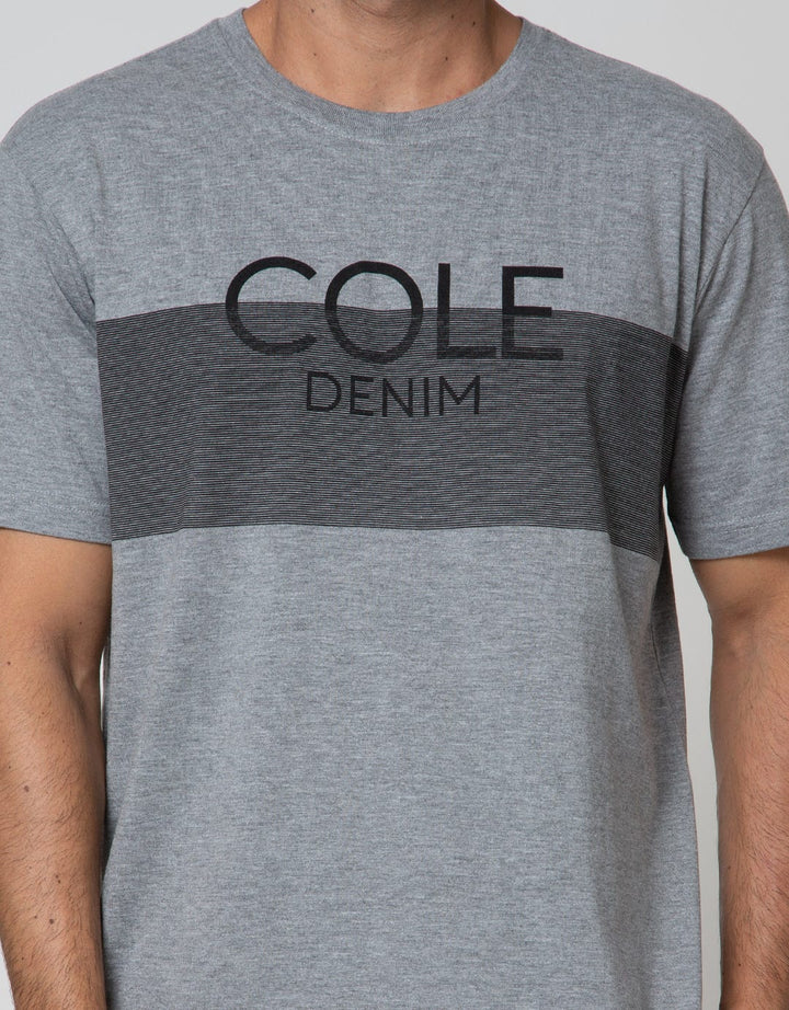Cole Short Sleeve T-Shirt Print Stripe Dada
