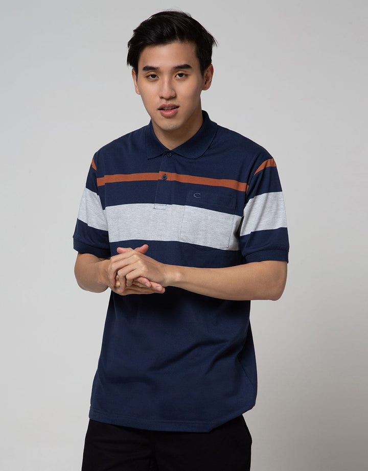 Cole Short Sleeve Polo Shirt Stripe Eng Chest