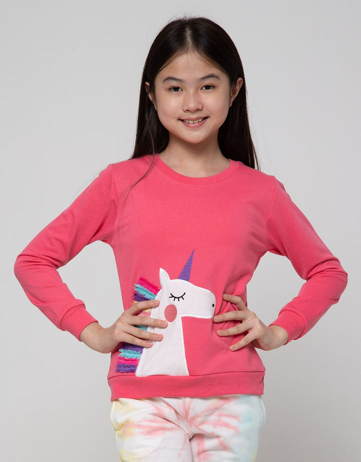 Aero Sweatshirt Unicorn Aplikasi