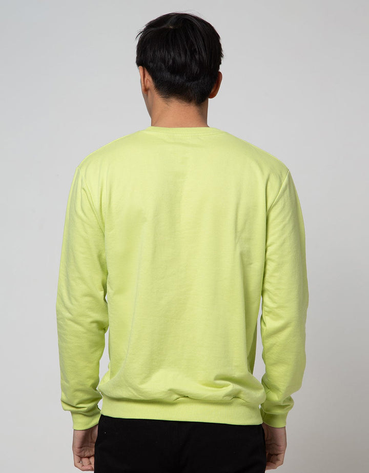 Details Sweatshirt Jumper Photoprint Mix Hd