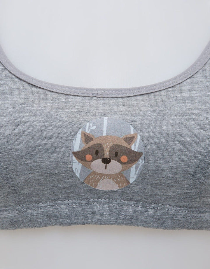 Nevada Mini Set Step 1 Racoon