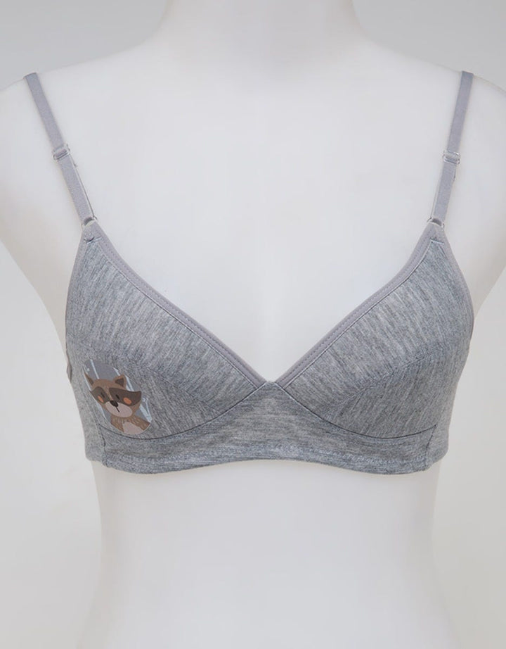 Nevada Mini Set Bra Basic Step 3 Racoon