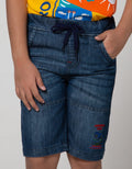 Little M Denim Shorts Dino Embroidery Rubber