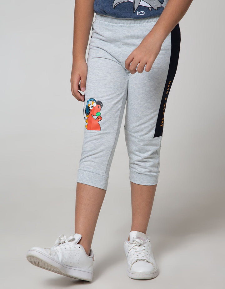 Little M Jogger Cut N Sewn Terry Dino