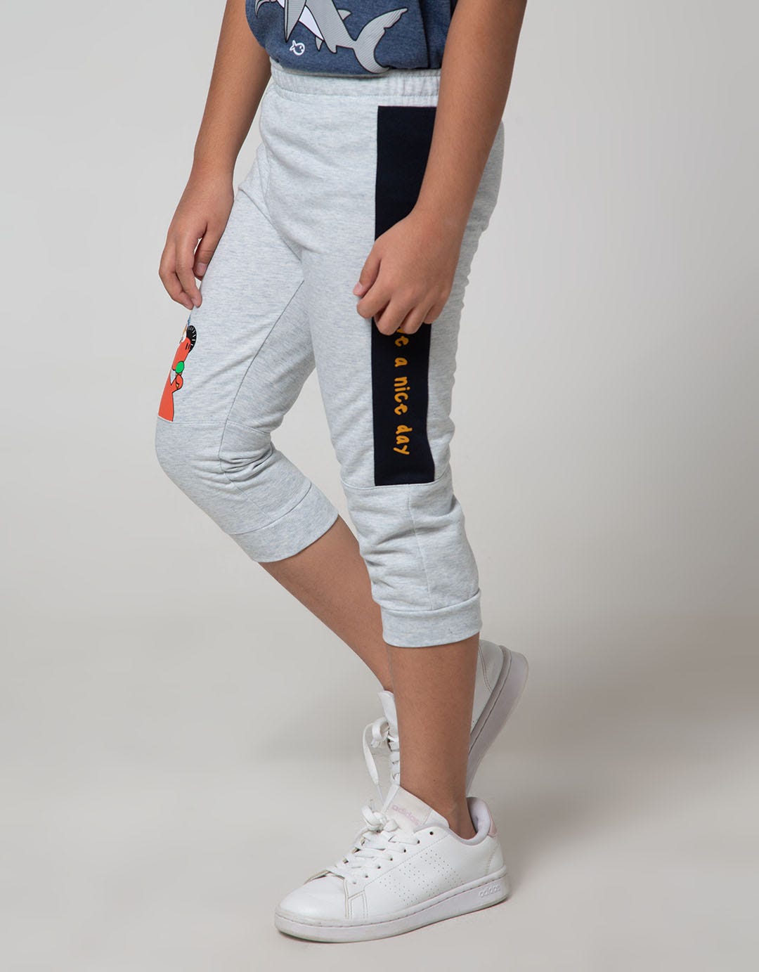 Little M Jogger Cut N Sewn Terry Dino
