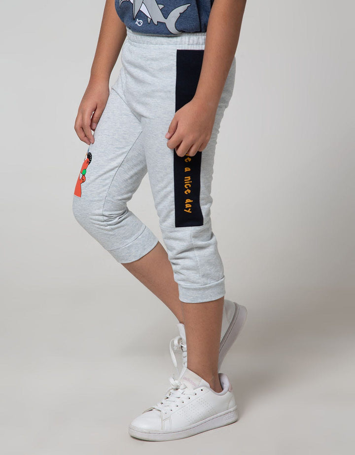 Little M Jogger Cut N Sewn Terry Dino
