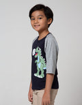 Little M 34 Raglan T-Shirt Dino