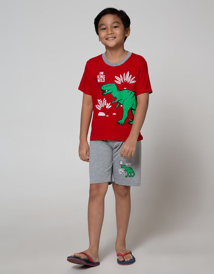 Little M Top Bottom Dino T-Shirt Set