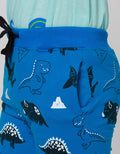 Little M Jogger Cut N Sewn Print Dino