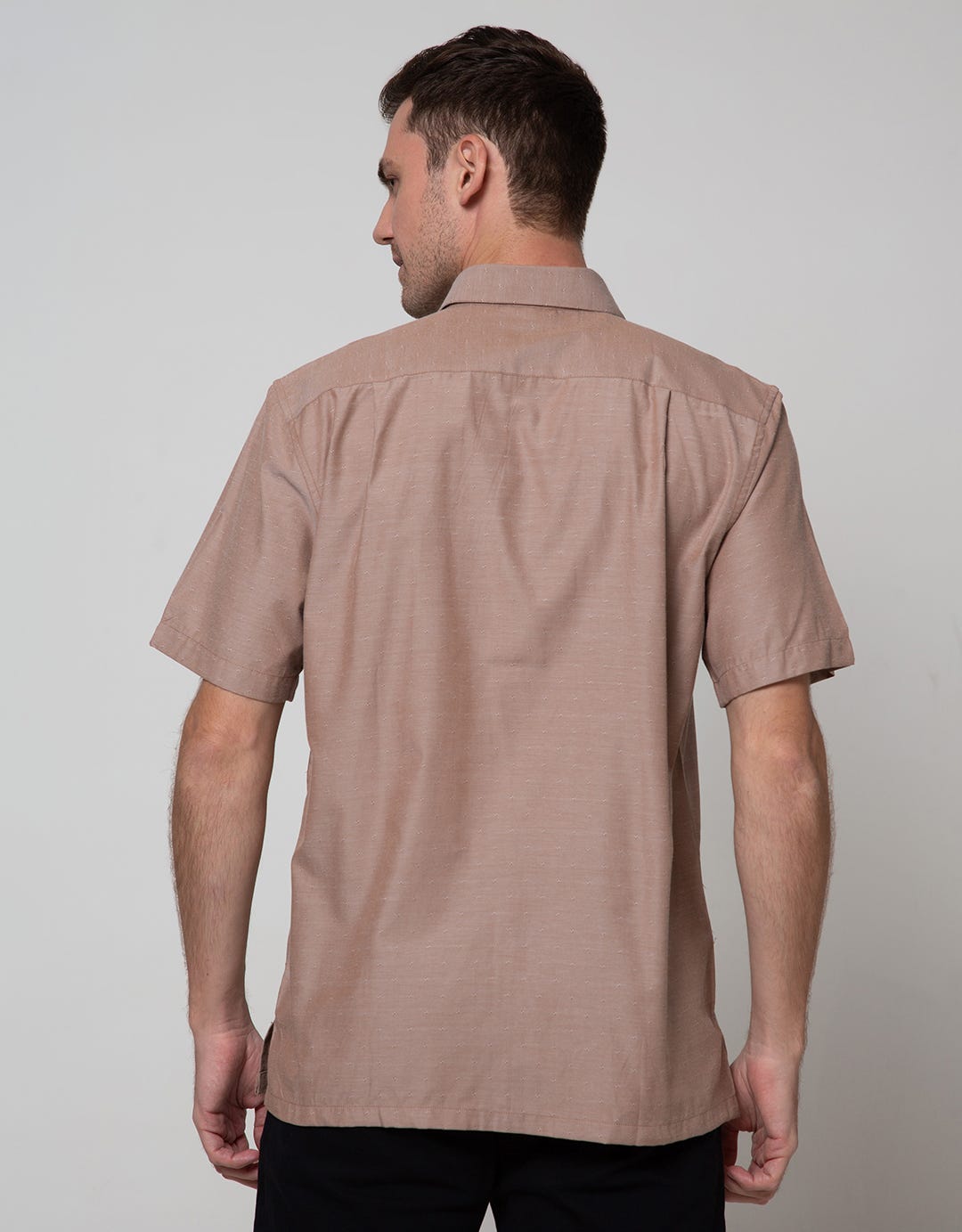 Stanley Adams Short Sleeve Shirt Texture  Regular Plain