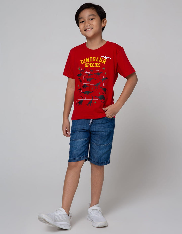 Little M Denim Shorts Karet Destroyed