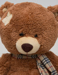 Little M Me To You Bear 12 Inch