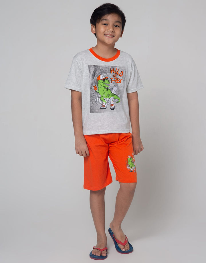 Little M Top Bottom Dino Wild Of T-Rex T-Shirt Set