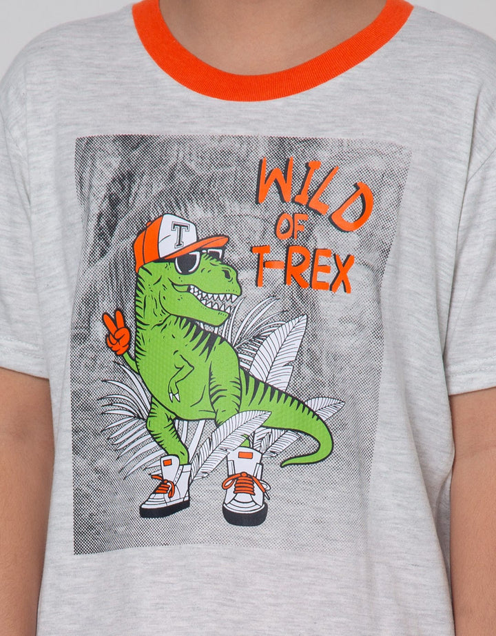 Little M Top Bottom Dino Wild Of T-Rex T-Shirt Set