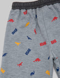Little M Short Pants Knit Terry Dino