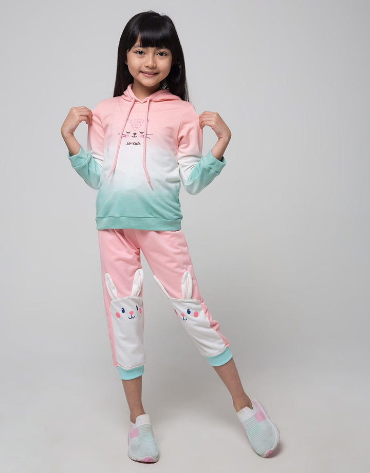 Little M Sweatshirt Hoody Ombre Cat