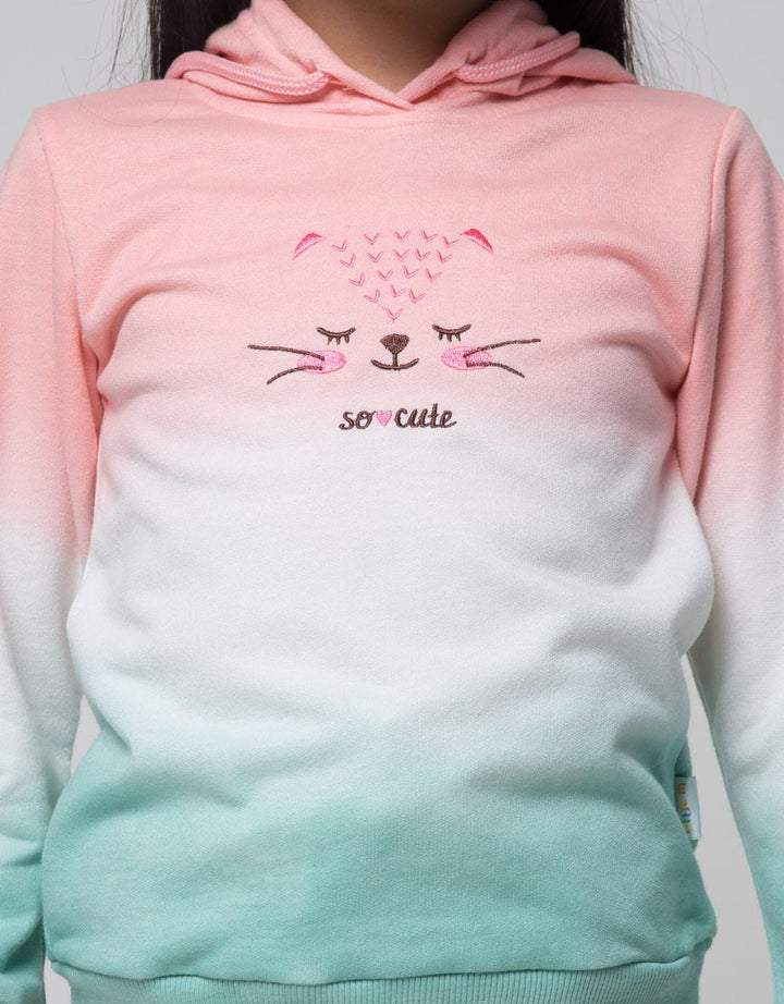 Little M Sweatshirt Hoody Ombre Cat