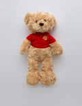ANIMAL PLUSH TEDDY B 