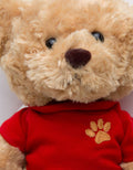 ANIMAL PLUSH TEDDY B 
