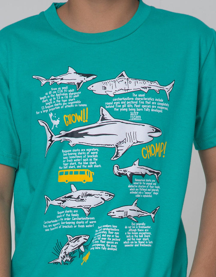 Little M Short Sleeve Shark T-Shirt