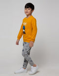 Aero Set Sweatshirt Knitting Non Hoody Bear