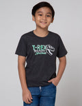 Little M Short Sleeve T-Shirt Multipack 2 Pack Dino