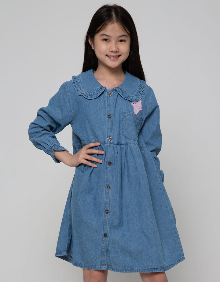 Aero Long Sleeve Denim Ruffle Dress