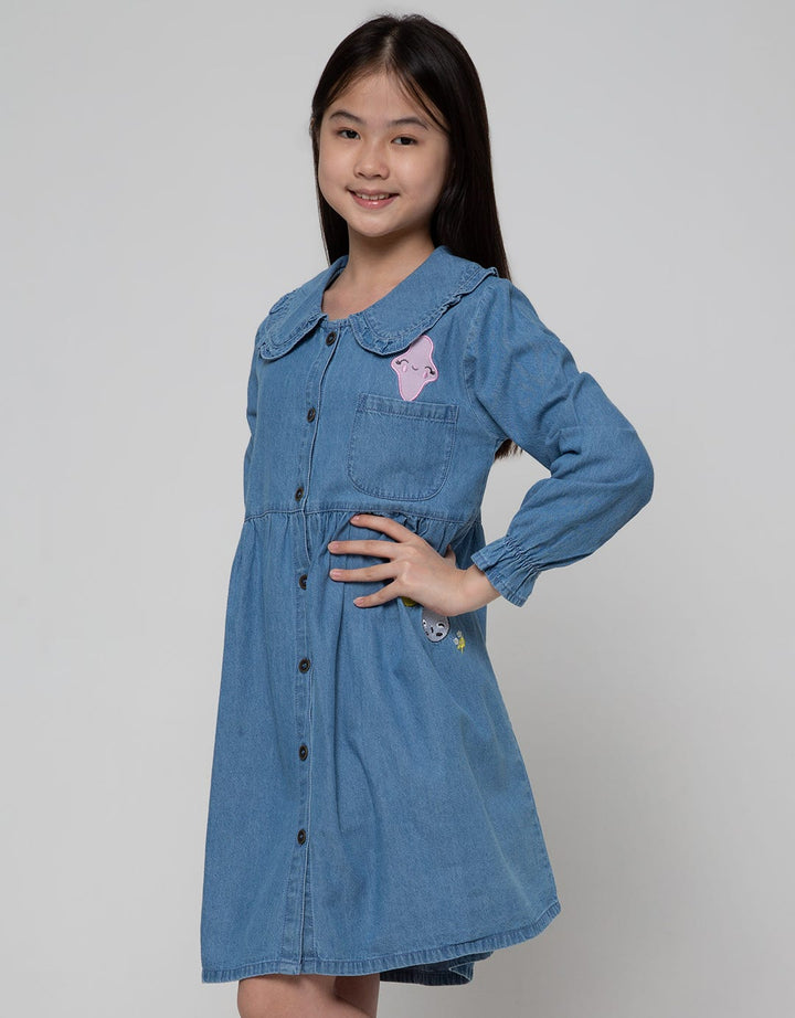 Aero Long Sleeve Denim Ruffle Dress