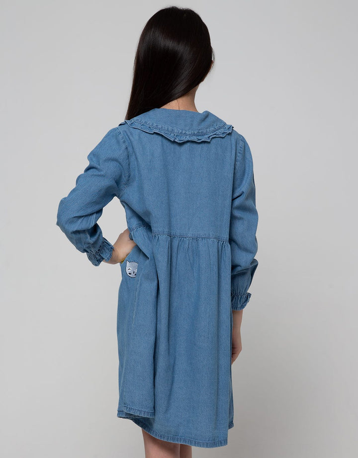 Aero Long Sleeve Denim Ruffle Dress